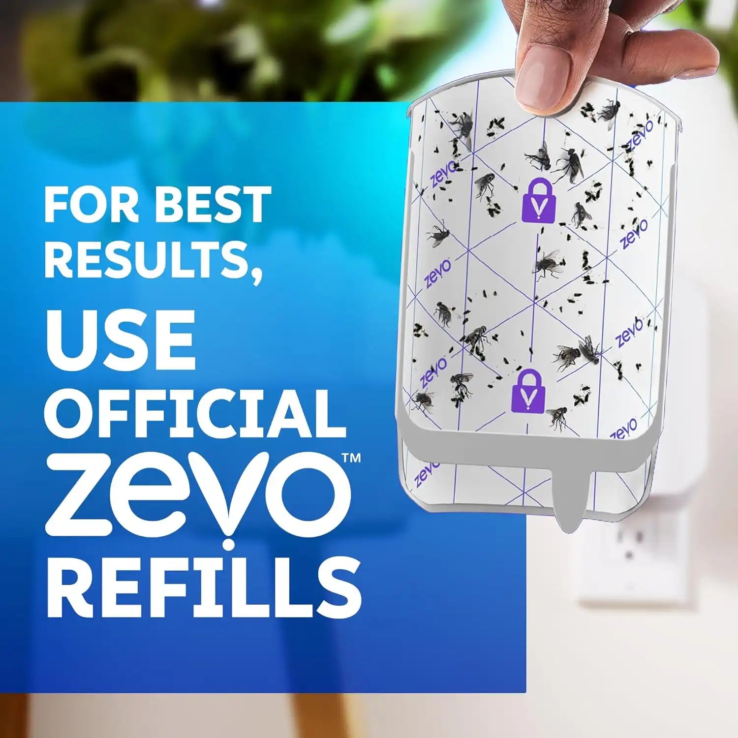 zevoinsectmalls.com
