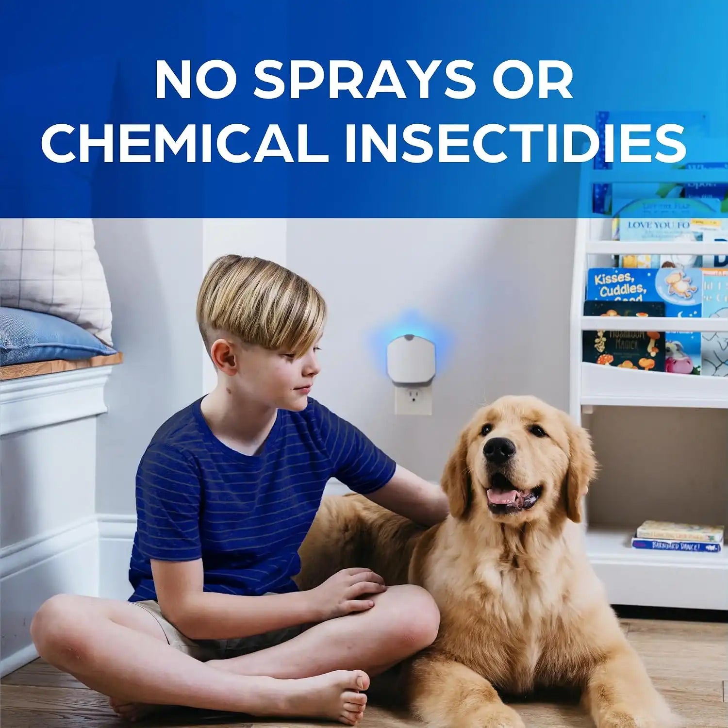 zevoinsectmalls.com