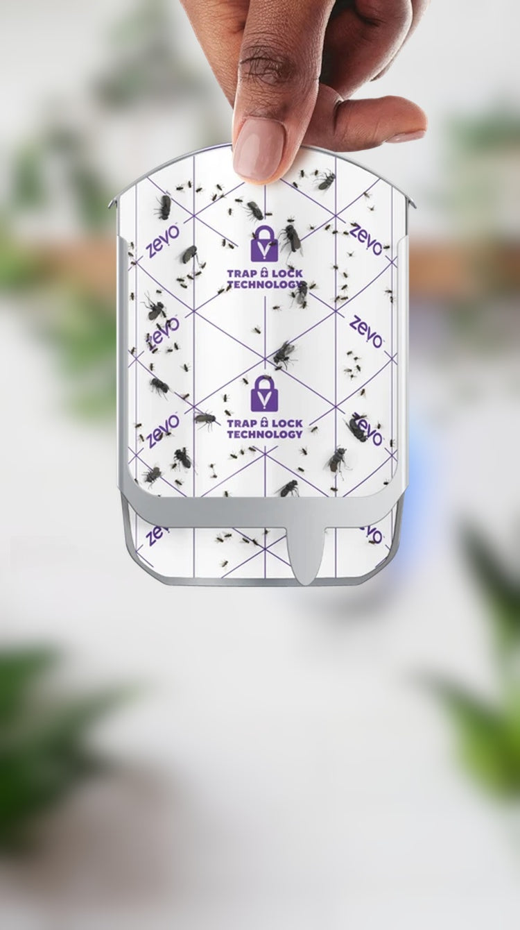 zevoinsectmalls.com